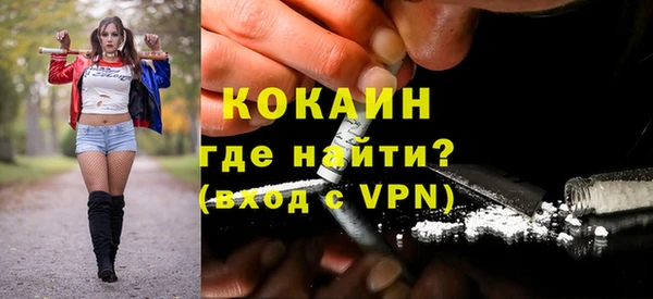 МДПВ Гусев