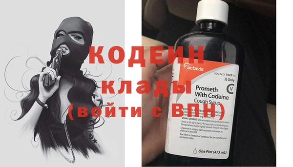 spice Дмитриев