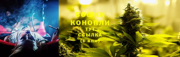 МДПВ Гусев