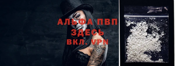МДПВ Гусев
