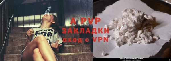соль ск Гусиноозёрск