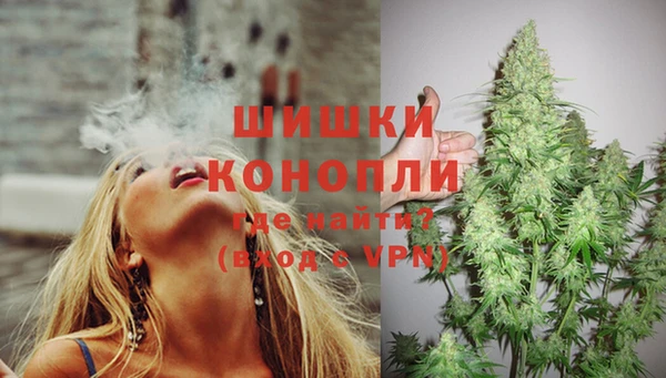 МДПВ Гусев