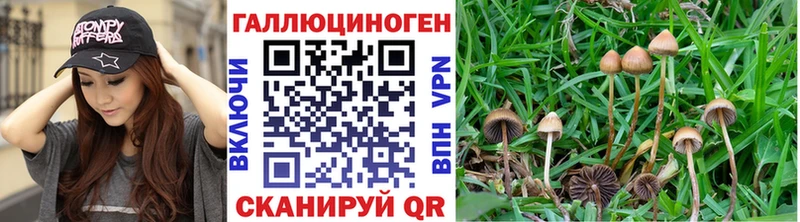 Псилоцибиновые грибы GOLDEN TEACHER  Купить где  Орлов 